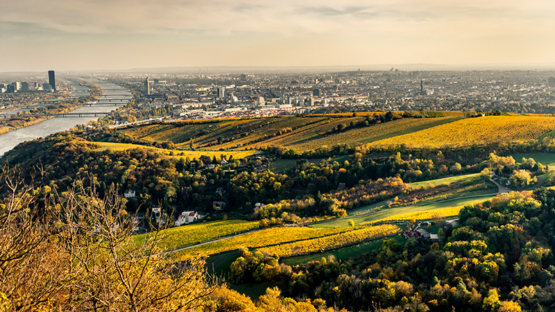 Zu sehen ist der Nussberg im Weinbaugebiet Wien